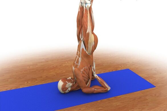 Strength exercise “Birch”